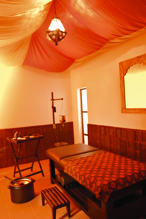 Широдхара AYURVEDA SHIRODARA — фото и характеристики Maletti