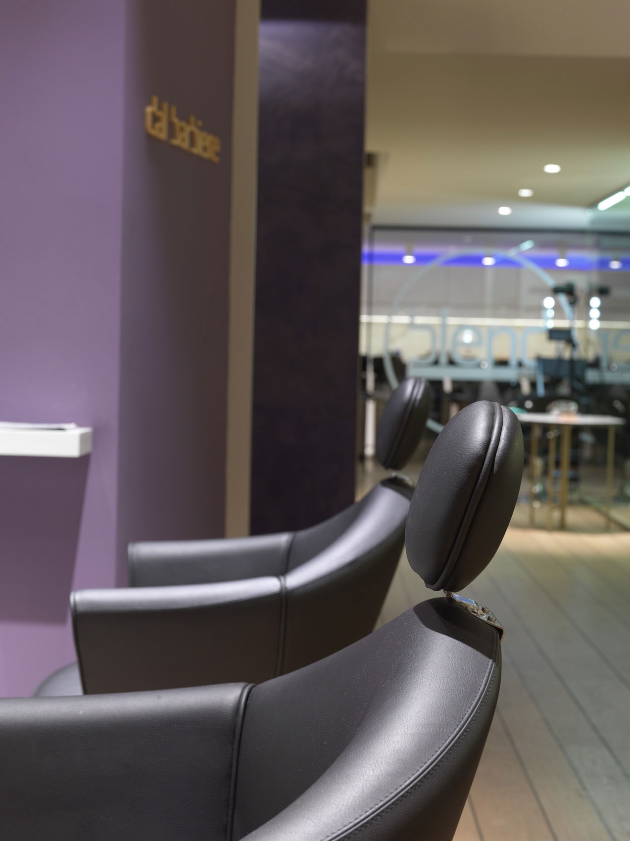 Парикмахерское кресло MUSETTE REC — фото и характеристики Maletti