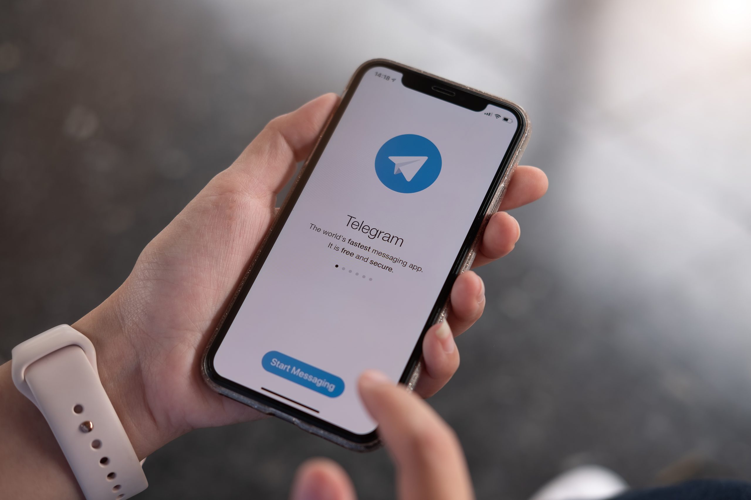 Maletti в Telegram