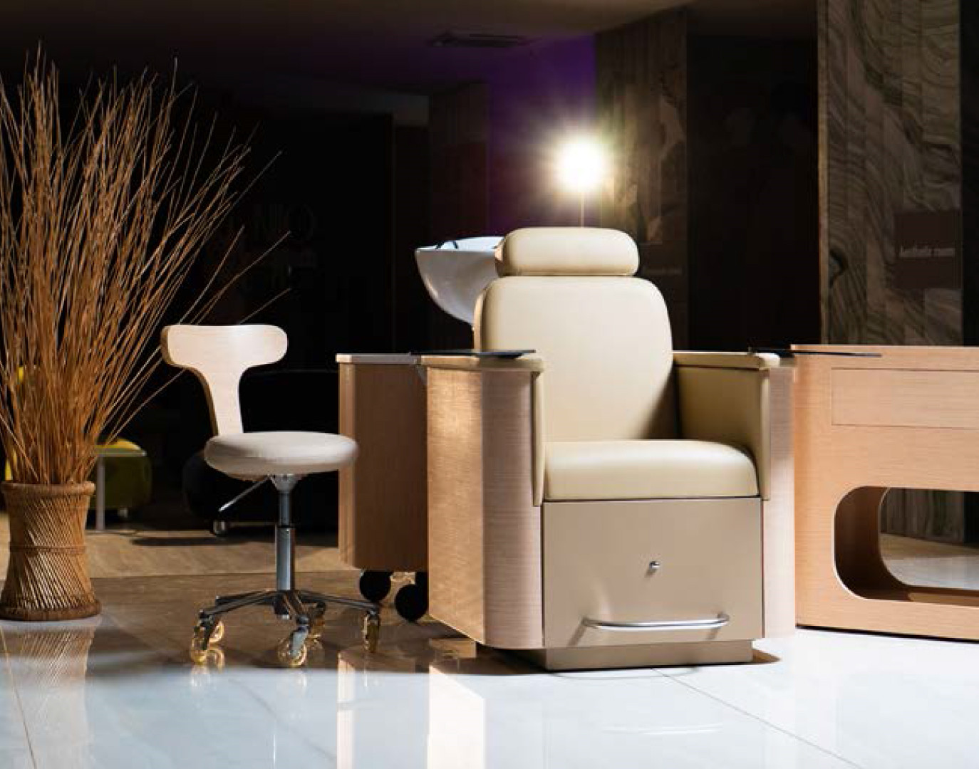 Многофункциональное кресло DIVINA SUPER LIGHT OAK — фото и характеристики Maletti